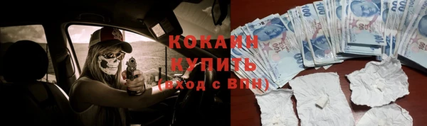 спиды Лиски