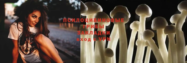 спиды Лиски