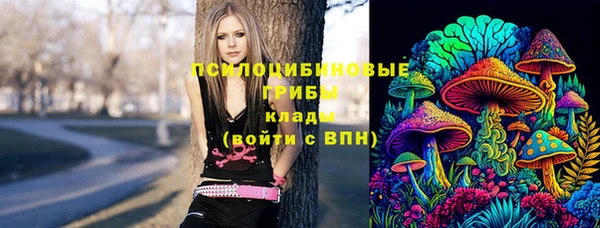 Альфа ПВП Магадан