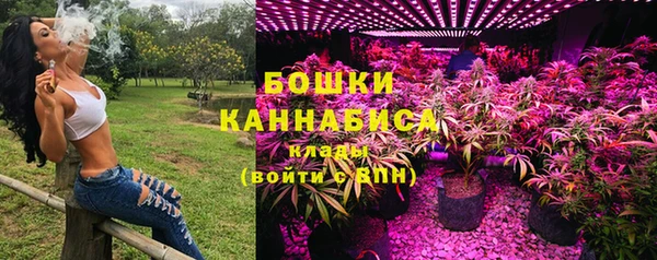 спиды Лиски