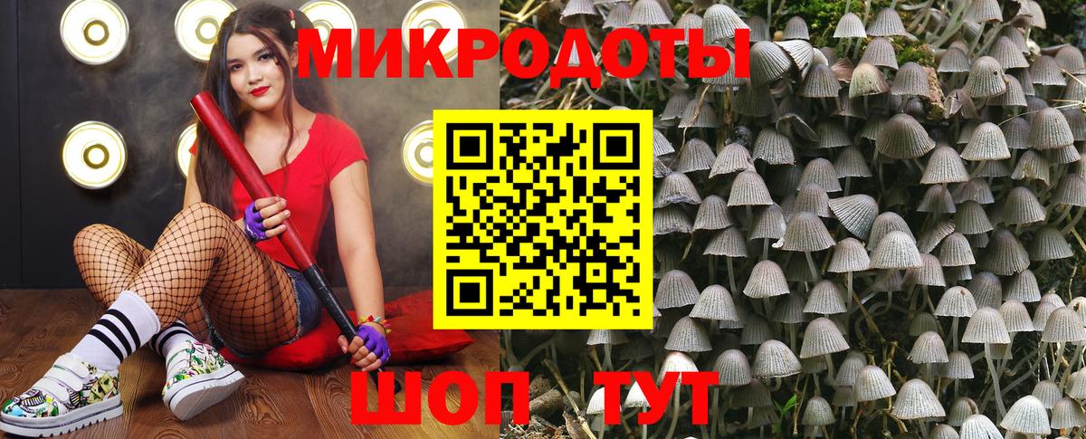 Псилоцибиновые грибы мицелий Красноярск