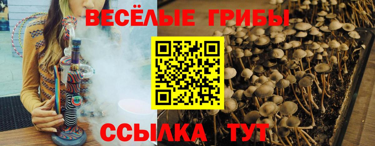 Красноярск  где продают наркотики  Вход с VPN  Псилоцибиновые грибы Magic Shrooms 