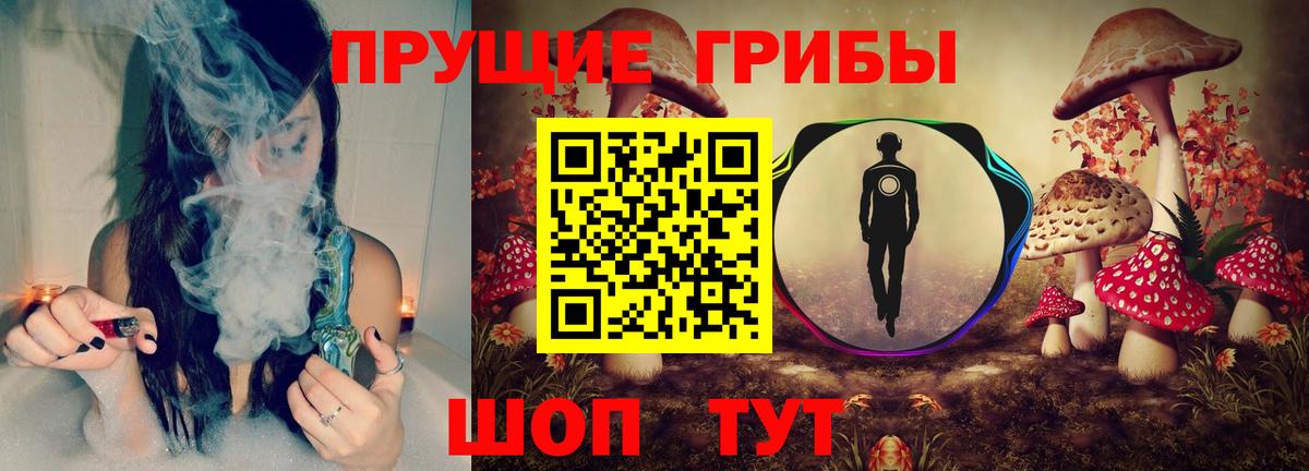 Галлюциногенные грибы GOLDEN TEACHER Красноярск