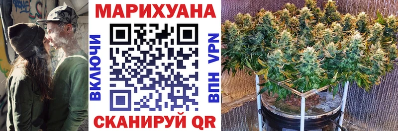 Конопля SATIVA & INDICA  Красноярск 